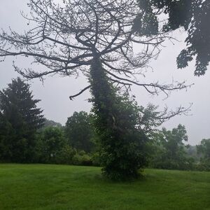 Meet your Posher, Evie